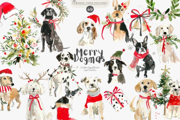 Watercolor Clipart - Christmas Dog Illus: A Designer’s Review
